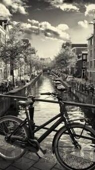 xxnxx麻豆视频-文章名称，沉浸体验，XXNXX麻豆视频的多样魅力与实践